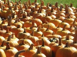 Abobora Refogada Brazilian Stewed Pumpkin