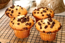 Chocolate Pumpkin Muffins