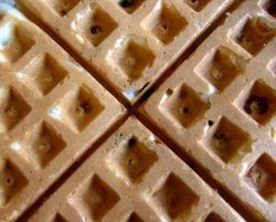 Basic Waffle Recipe with Variations