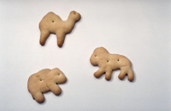 Animal Crackers