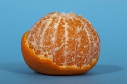 Orange Tangerine Mimosa