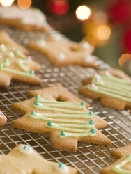 Tasty Tannenbaum Biscuits