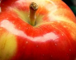 Thanksgiving Apple Salad