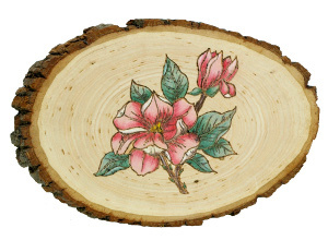 Woodburned Magnolia Plaque FaveCrafts.com