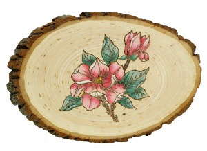 Woodburned Magnolia Plaque FaveCrafts.com Woodburned Magnolia Plaque FaveCrafts.com