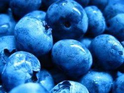 Blueberry Bluster