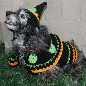 Dog Witch Costume