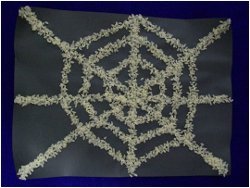 Spiderweb Rice Art