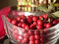 Raspberry Vinegar Cranberry Sauce