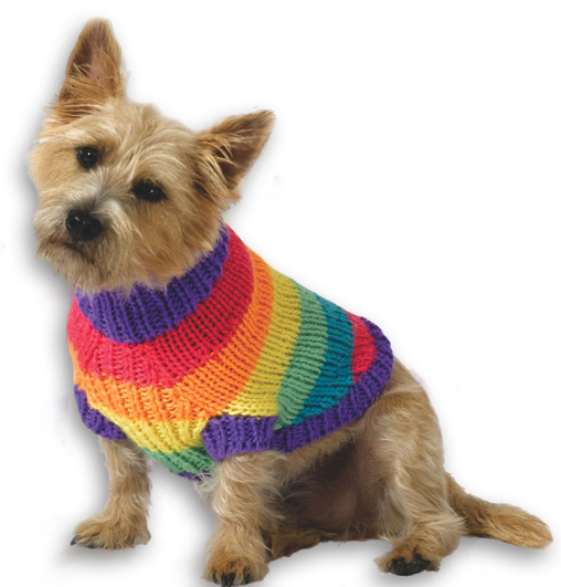 Rainbow Dog Sweater Knitting Pattern From Caron Yarn FaveCrafts Rainbow Dog Sweater Knitting Pattern From Caron Yarn FaveCrafts