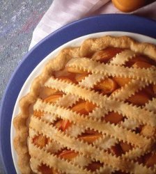 Fresh Apricot Pie