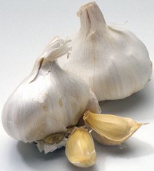 How To Prepare and Cook Garlic