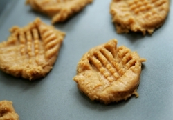 Super Simple Peanut Butter Cookies