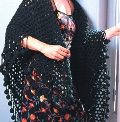 A Black Mesh Shawl