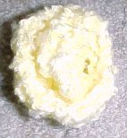 Boucle Flower