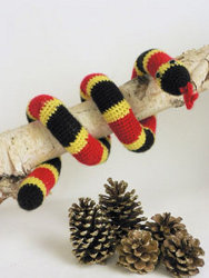 Coral Snake