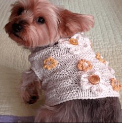 Dog Sweater Knitting Patterns Allfreeknitting Com Dog Sweater Knitting Patterns Allfreeknitting Com