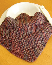 Simple Cotton Dishcloth