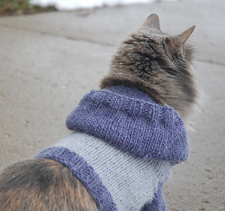 Preppy Cat Vest | AllFreeKnitting.com