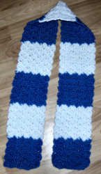 Bev's Special Olympics Winter Games Scarf