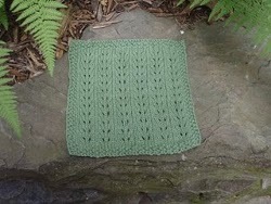 Lake Ariel Dishcloth