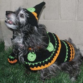 8 Pet Halloween Costumes