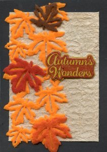 Autumn's Wonders Card