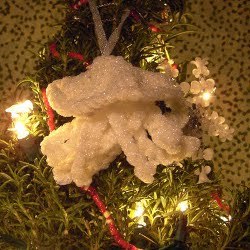 Atlantic Northeast Christmas Tree Jellyfish