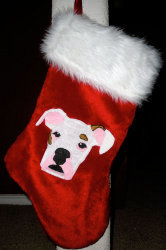 Pet Portrait Christmas Stocking