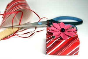Small Gift Box and Flower Bow