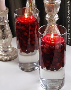 Cranberry Vases