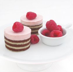 Bakers Royale Raspberry Mousse