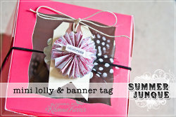 Mini Lolli and Banner Tag