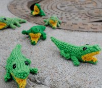 Baby Gators