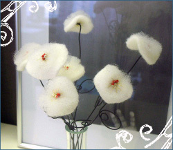 White Winter Flowers