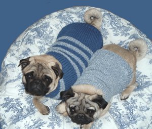 Cable Knit Greyhound Sweater