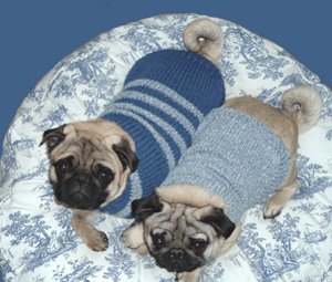 Dog Sweater Knitting Patterns Allfreeknitting Com Dog Sweater Knitting Patterns Allfreeknitting Com