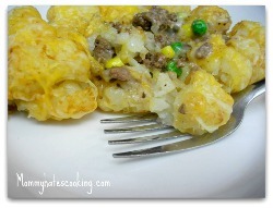 Kristy's Tater Tot Casserole