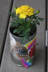 Can Flower Pot
