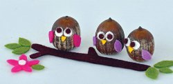 Itty Bitty Acorn Owls