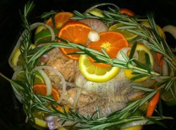 Taste Of Summer Citrus Chicken