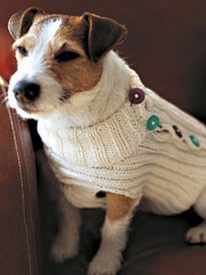 Knit a Button-Up Dog Sweater