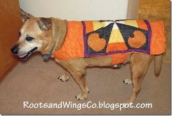 Reversible Halloween Dog Coat