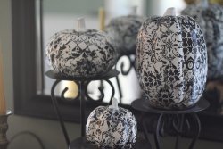 Fabulous Pumpkins In Black and White