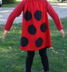 Quick and Easy Ladybug Costume