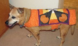 Dog Quilt Coat for Halloween