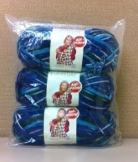 Deborah Norville Collection Everyday Cold Mountain Soft Worsted Yarn