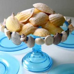 Simple Sea Shell Cake Stand