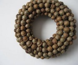 Ring of Acorns Wreath