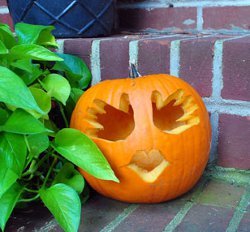 Sweet Little Hands Pumpkin Carving